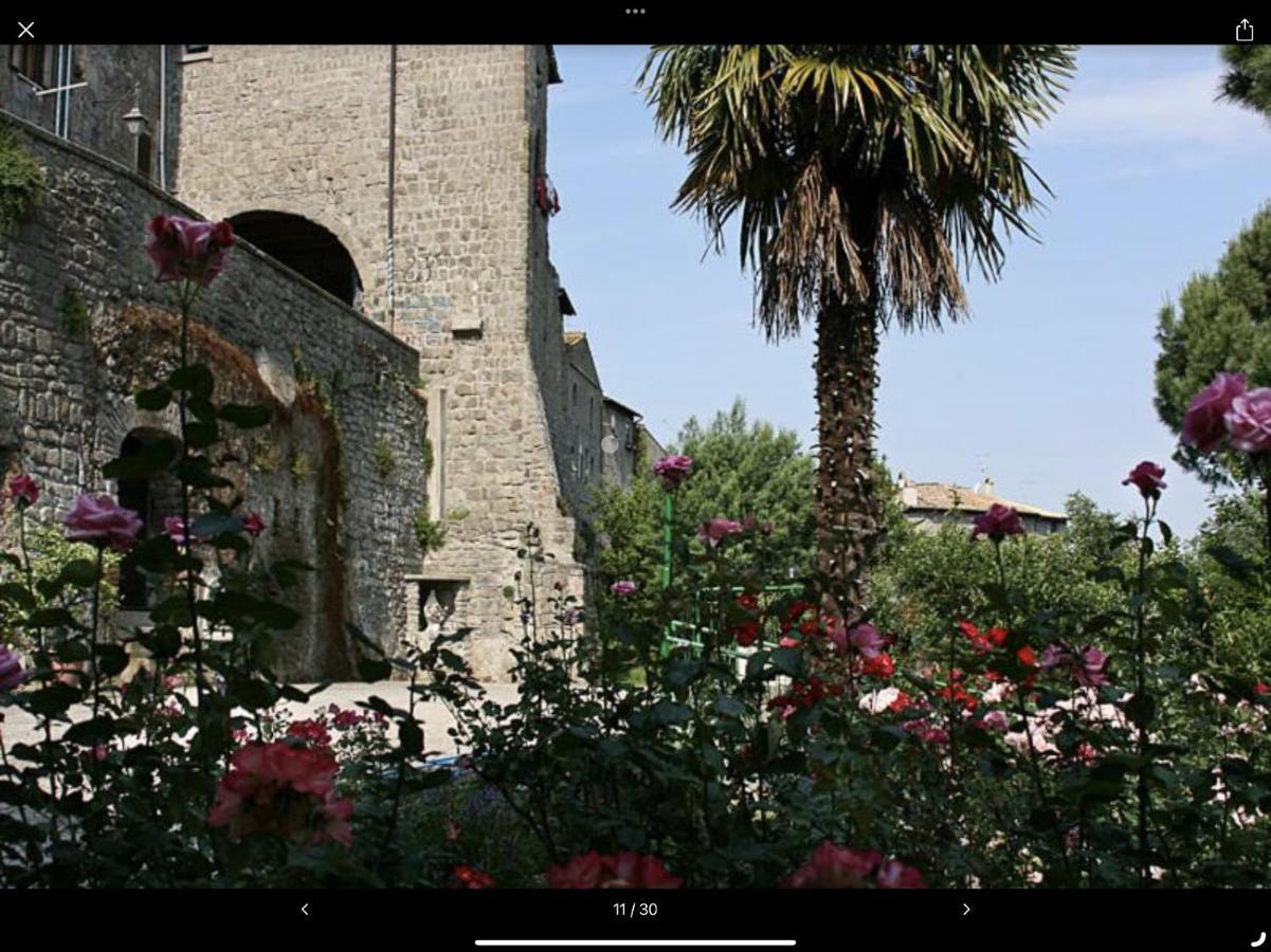 Nazareth Residence Viterbo Exterior photo